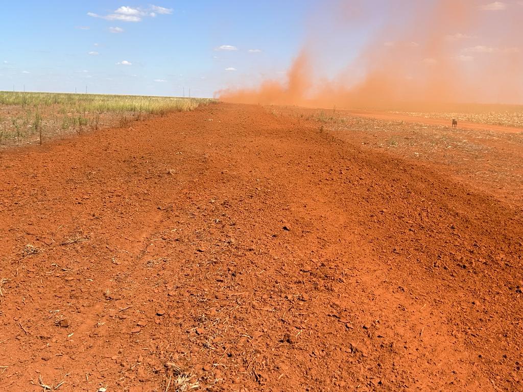 Resultado final na buva